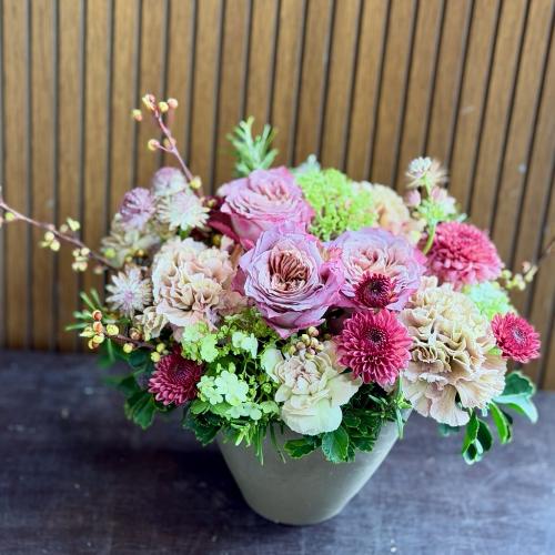 ��̓��A�����W�����g�w�T���N�X�}���x5