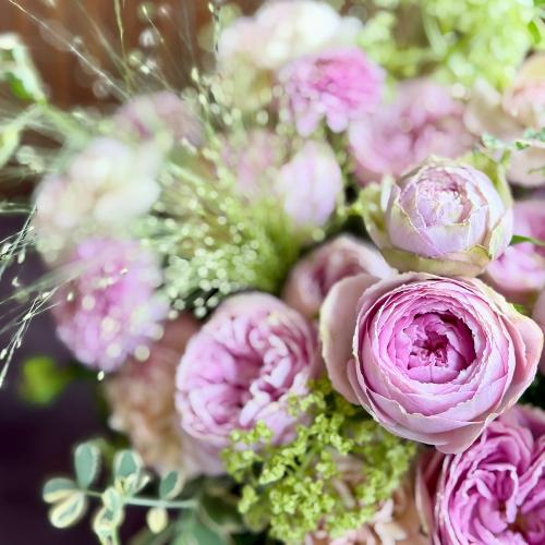 ��̓��A�����W�����g�w�t���[���}���x2