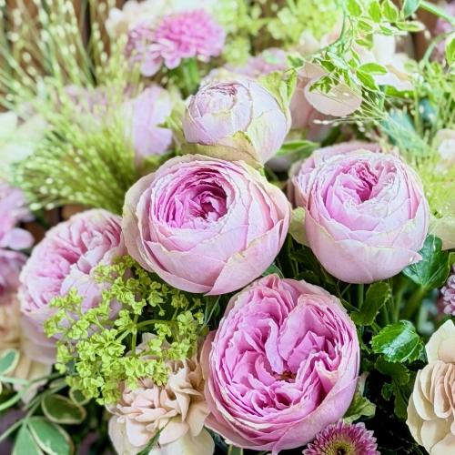 ��̓��A�����W�����g�w�t���[���}���x4