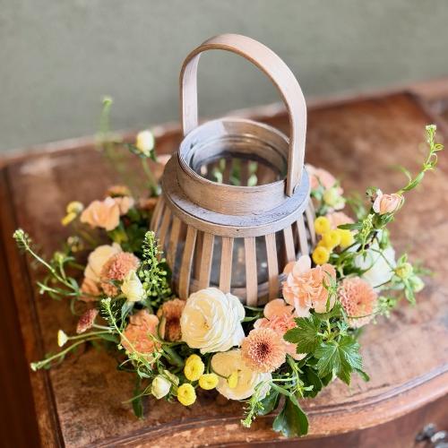 ��̓��A�����W�����g�w�����^�����o�X�P�b�g�A�����WS�x2