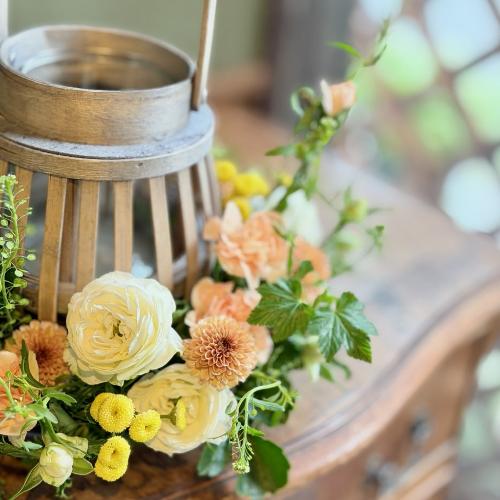 ��̓��A�����W�����g�w�����^�����o�X�P�b�g�A�����WS�x3