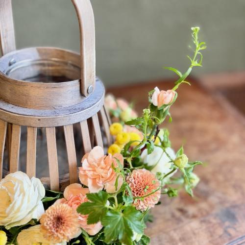 ��̓��A�����W�����g�w�����^�����o�X�P�b�g�A�����WS�x4