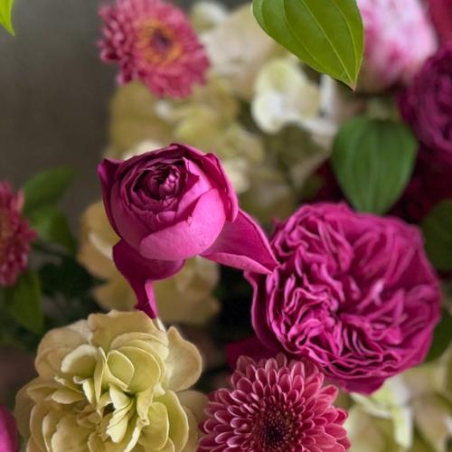 ��̓��A�����W�����g�w�G���K���g�}���x3