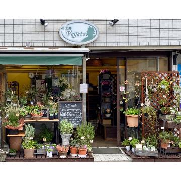 神奈川県横浜市 港北区の花屋 花工房vegeta をご紹介 フラワーギフトはプロのお花屋さんにおまかせ フジテレビフラワーネット