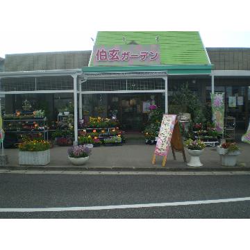 福岡県春日市の花屋 伯玄ガーデン をご紹介 フラワーギフトはプロのお花屋さんにおまかせ フジテレビフラワーネット