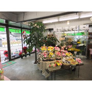 花を買うならここ 金沢文庫周辺の花屋さん Pathee パシー