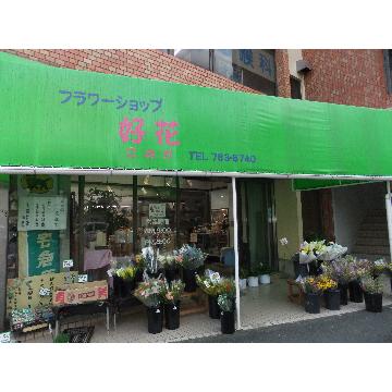 神奈川県横浜市 金沢区の花屋 フラワーショップ好花 をご紹介 フラワーギフトはプロのお花屋さんにおまかせ フジテレビフラワーネット