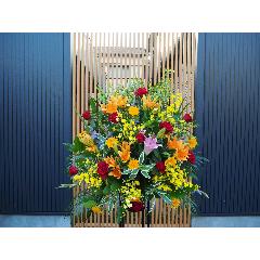 ��ڤˤ��ޤ������ե��������1�ʡڼ����ã�ϰ衧���ͻ����衦���ڥ�ë�衦���衦������衦����