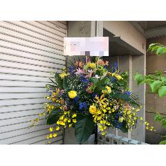 ��ڤˤ��ޤ������ե��������1�ʡڼ����ã�ϰ衧���ͻ����衦���ڥ�ë�衦���衦������衦����