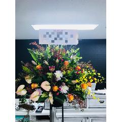 ��ڤˤ��ޤ������ե��������1�ʡڼ����ã�ϰ衧���ͻ����衦���ڥ�ë�衦���衦������衦����