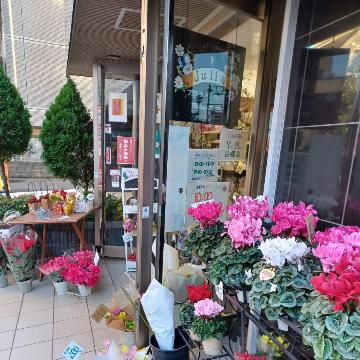 神奈川県大和市の花屋 フラワーショップ ジュリア をご紹介 フラワーギフトはプロのお花屋さんにおまかせ フジテレビフラワーネット