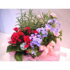 神奈川県横浜市 栄区の花屋 フィオリスタ ぴあに をご紹介 フラワーギフトはプロのお花屋さんにおまかせ フジテレビフラワーネット