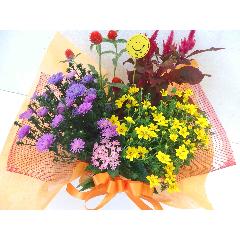 神奈川県横浜市 栄区の花屋 フィオリスタ ぴあに をご紹介 フラワーギフトはプロのお花屋さんにおまかせ フジテレビフラワーネット 神奈川県横浜市 栄区の花屋 フィオリスタ ぴあに をご紹介 フラワーギフトはプロのお花屋さんにおまかせ フジテレビフラワーネット