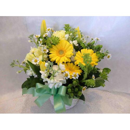 �`���������C���J���[�̃t���b�V���A���W�����g�`