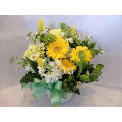 �`���������C���J���[�̃t���b�V���A���W�����g�`