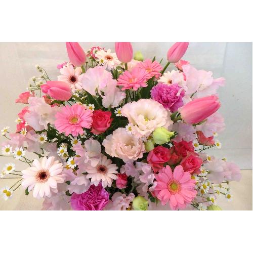 �t���Ăԁ�X�v�����O�X�C�[�g�A�����W��