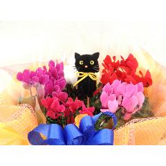 神奈川県横浜市 栄区の花屋 フィオリスタ ぴあに をご紹介 フラワーギフトはプロのお花屋さんにおまかせ フジテレビフラワーネット 神奈川県横浜市 栄区の花屋 フィオリスタ ぴあに をご紹介 フラワーギフトはプロのお花屋さんにおまかせ フジテレビフラワーネット