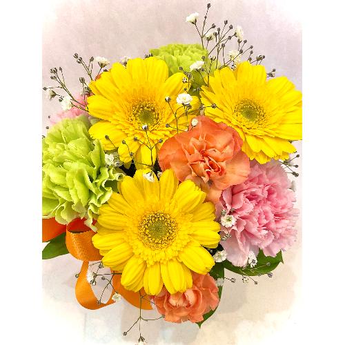 �ymama �� merci  petite�z�@�`�C�G���[�`