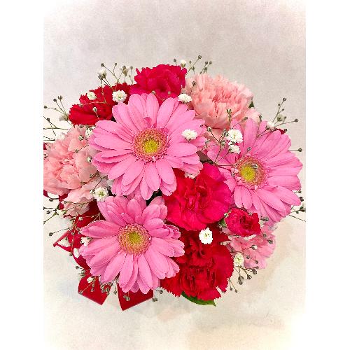 �ymama �� merci  petite�z�@�`�s���N�`�@