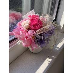 �`�u���b�T���s���N�`�v���U�[�u�h�t�����[