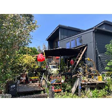 ���̑��摜