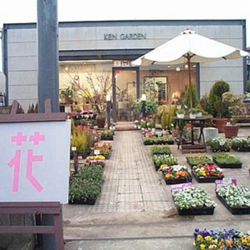 京都府京都市 南区の花屋 ケン ガーデン フローリスト をご紹介 フラワーギフトはプロのお花屋さんにおまかせ フジテレビフラワーネット 京都府京都市 南区の花屋 ケン ガーデン フローリスト をご紹介 フラワーギフトはプロのお花屋さんにおまかせ フジテレビフラワーネット