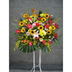 ������ɣ��ʡ��ڼ����ã�ϰ衧����Կ��ɶ��