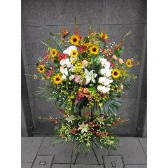 ������ɣ��ʡ��ڼ����ã�ϰ衧����Կ��ɶ��