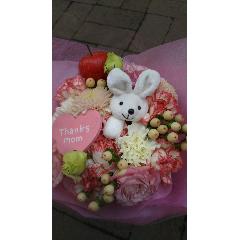 ��������������βİ����֡���