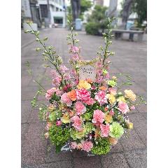 ��̓��ɁI�J�[�l�[�V�����̃A�����W