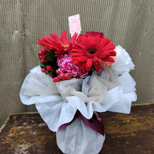 ���̂܂܏����u�[�P�Ԍn2