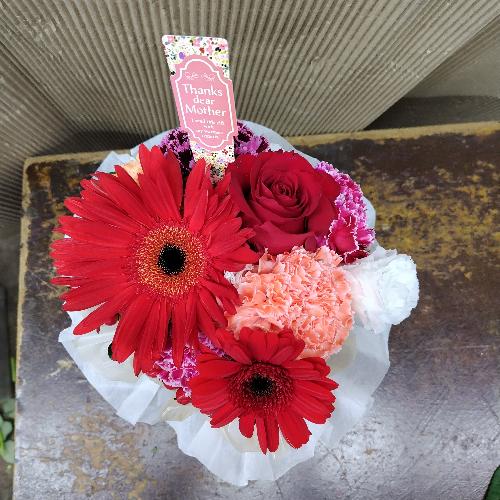 ���̂܂܏����u�[�P�Ԍn3