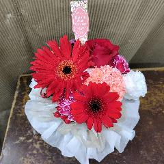 ���̂܂܏����u�[�P�Ԍn