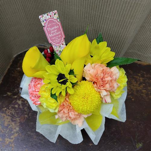 ���̂܂܏����u�[�P���F�n3