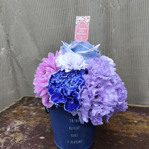 ��̓��A�����W�@�p�[�v��