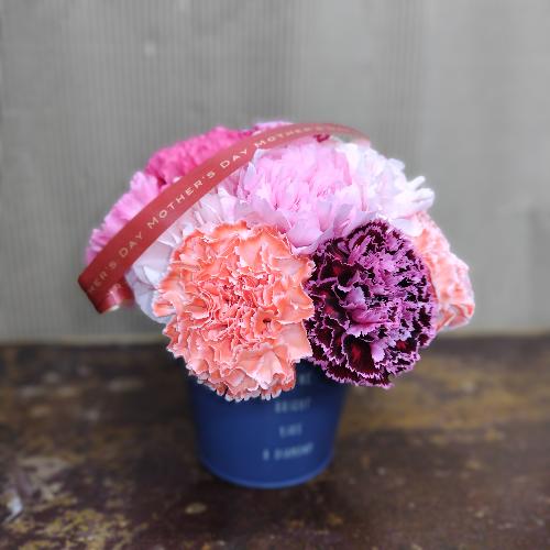 ��̓��J�[�l�[�V�����̃A�����W�g�F�n2