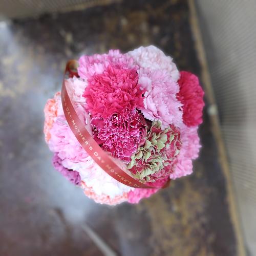 ��̓��J�[�l�[�V�����̃A�����W�g�F�n3