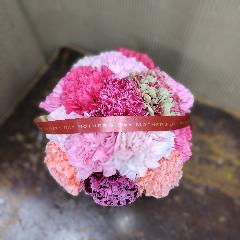 ��̓��J�[�l�[�V�����̃A�����W�g�F�n