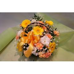 Ԃ܃IWi@LCڂ