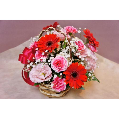花しまオリジナル アカイロ りぼん 花屋 株 花しま のオリジナル商品 フラワーギフトはプロのお花屋さんにおまかせ フジテレビフラワーネット 花しまオリジナル アカイロ りぼん 花屋 株 花しま のオリジナル商品 フラワーギフトはプロのお花屋さんにおまかせ フジテレビフラワーネット