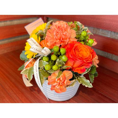 ���Ԃ��܃I���W�i�����@�����V�[�I�����W2