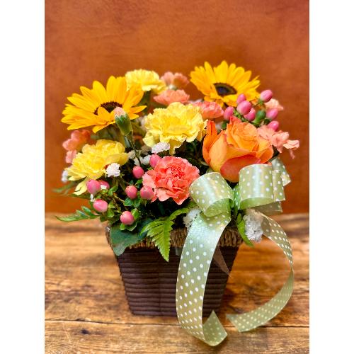 ���Ԃ��܃I���W�i�����@�T�j�[�n�[���j�[2