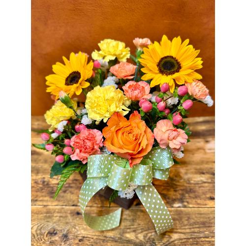 ���Ԃ��܃I���W�i�����@�T�j�[�n�[���j�[3