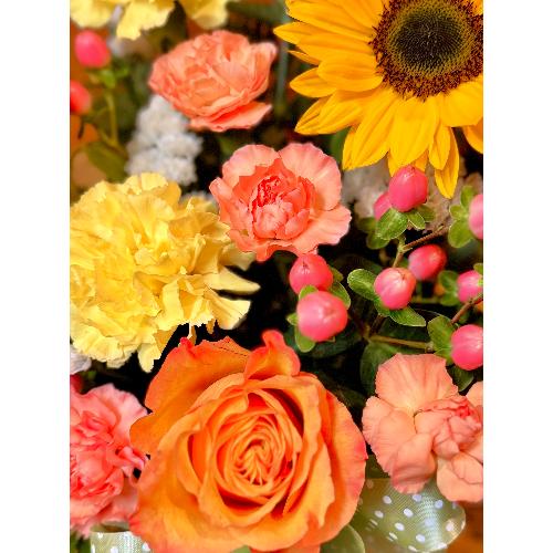 ���Ԃ��܃I���W�i�����@�T�j�[�n�[���j�[4