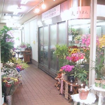 兵庫県宝塚市の花屋 フローリスト美ほうえん をご紹介 フラワーギフトはプロのお花屋さんにおまかせ フジテレビフラワーネット