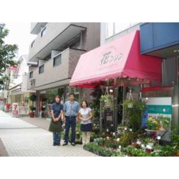 千葉県八千代市の花屋 有 花プリン をご紹介 フラワーギフトはプロのお花屋さんにおまかせ フジテレビフラワーネット