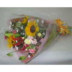 �Ҥޤ��β�«