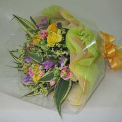 �İ�����«