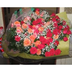 ڤʥХβ«