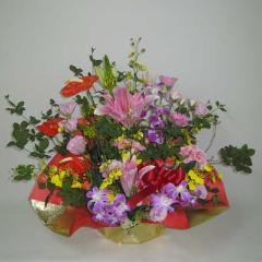 ����󥸥���